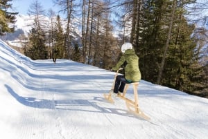 Zurich: Private Jungfraujoch & Thrilling Velogemel Adventure