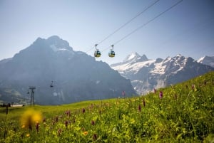 Zurich: Private Jungfraujoch & Thrilling Velogemel Adventure