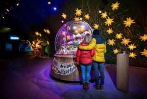 Zurich: Private Jungfraujoch & Thrilling Velogemel Adventure