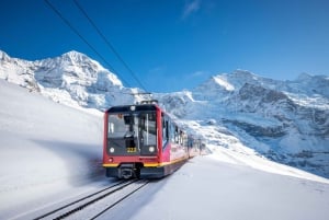 Zurich: Private Jungfraujoch & Thrilling Velogemel Adventure