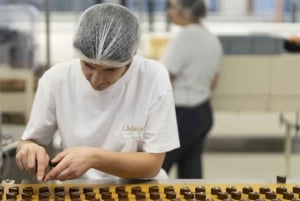 Zürich: Yksityinen päiväretki vesiputouksien laaksoon ja Interlakeniin.