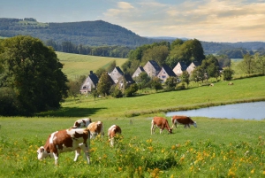 Zürich Privat tur till Liechtenstein och Heidiland