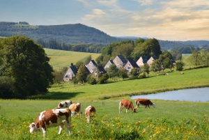 Zürich Yksityinen kiertomatka Liechtensteiniin ja Heidilandiin