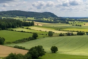 Zürich Yksityinen kiertomatka Liechtensteiniin ja Heidilandiin