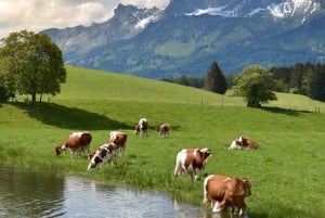 Zürich Yksityinen kiertomatka Liechtensteiniin ja Heidilandiin