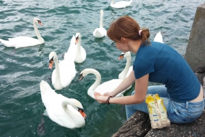 Zurich: Private Walking Tour with a Local Guide