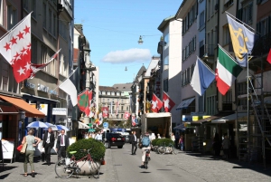 Zurich: Private Walking Tour with a Local Guide