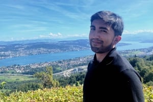 Zürich: Wanderung zum Aussichtspunkt von Zürich & Raclette im Freien