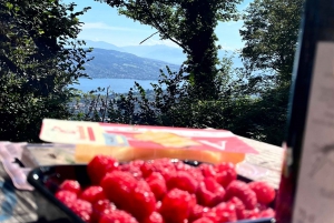 Zürich: Wanderung zum Aussichtspunkt von Zürich & Raclette im Freien