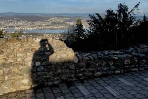 Zürich: Wanderung zum Aussichtspunkt von Zürich & Raclette im Freien