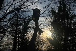 Zürich: Wanderung zum Aussichtspunkt von Zürich & Raclette im Freien