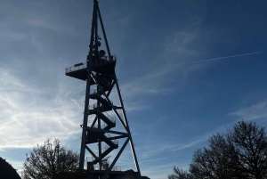 Zürich: Wanderung zum Aussichtspunkt von Zürich & Raclette im Freien