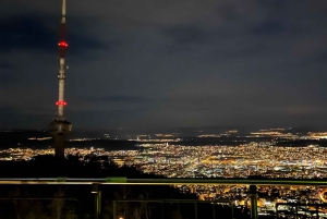 Zürich: Wanderung zum Aussichtspunkt von Zürich & Raclette im Freien