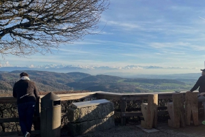 Zürich: Wanderung zum Aussichtspunkt von Zürich & Raclette im Freien