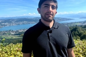 Zürich: Wanderung zum Aussichtspunkt von Zürich & Raclette im Freien