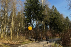 Zürich: Wanderung zum Aussichtspunkt von Zürich & Raclette im Freien