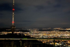 Zürich: Wanderung zum Aussichtspunkt von Zürich & Raclette im Freien