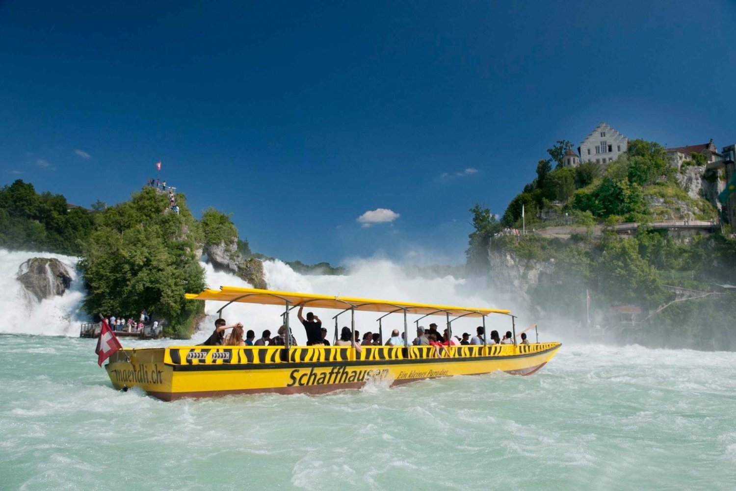 Zurich: Rhine Falls and Best of Zurich City Full-Day Tour