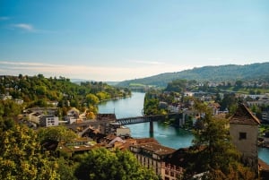 Zürich: Rhenfallen och Stein am Rhein-tur