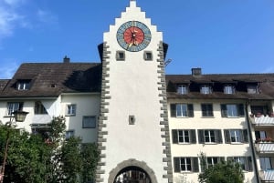 Zürich: Rhenfallen och Stein am Rhein-tur
