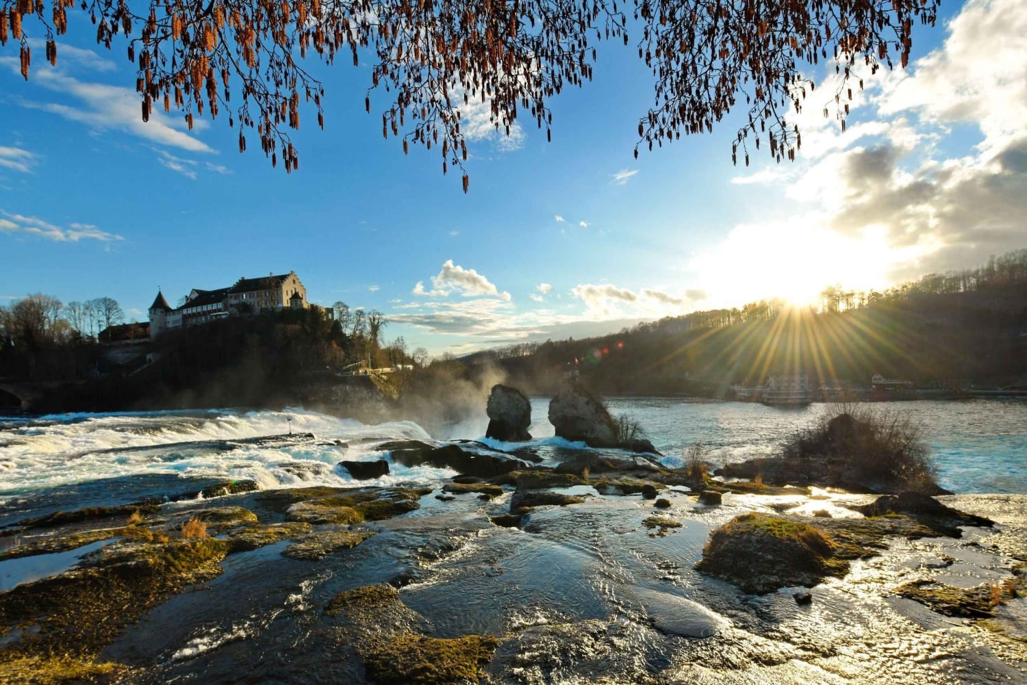 Zürich: private Tour zum Rheinfall