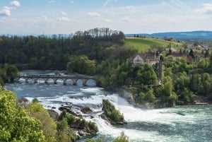 Zürich: private Tour zum Rheinfall