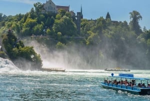 Zürich: private Tour zum Rheinfall
