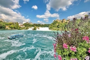 Zürich: private Tour zum Rheinfall