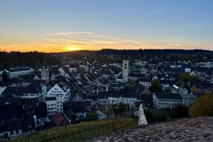 Stein Am Rhein, Schaffhausen e crociera sul Reno | Da Zurigo