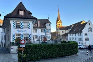 Stein Am Rhein, Schaffhausen e crociera sul Reno | Da Zurigo