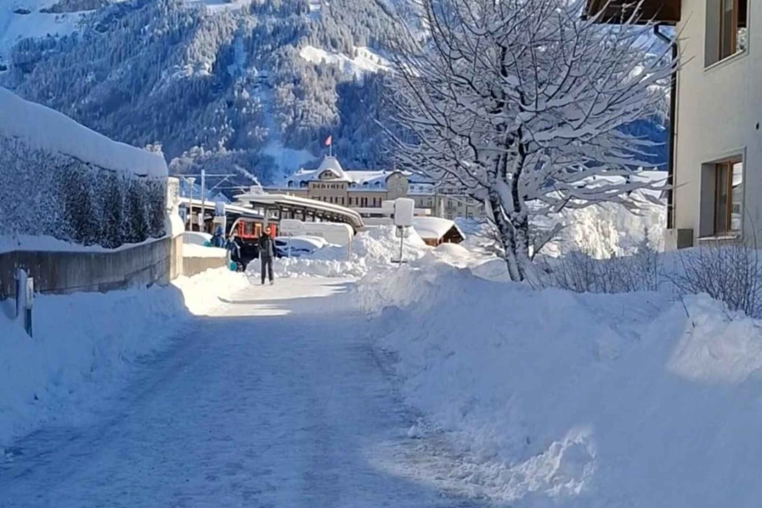Zürich: Titlis Engelberg och Luzern Privat dagsutflykt