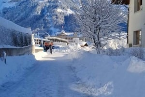 Zürich: Titlis Engelberg och Luzern Privat dagsutflykt