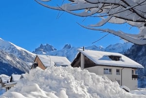 Zürich: Titlis Engelberg och Luzern Privat dagsutflykt