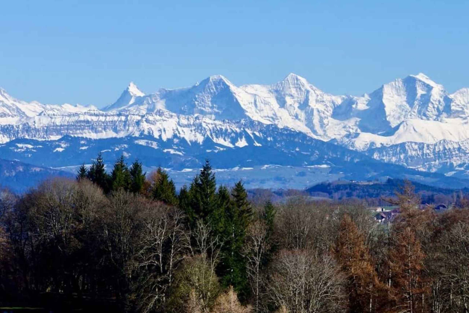 Из Цюриха в Берн/Эмменталь: частный тур на автомобиле, посвященный сыру и культуре.