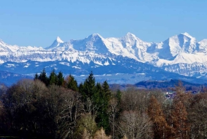 Из Цюриха в Берн/Эмменталь: частный тур на автомобиле, посвященный сыру и культуре.