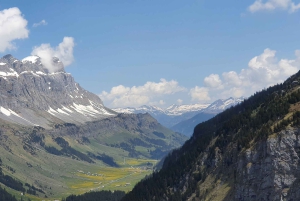 Zúrich: Recorre el Klausenpass con un Ford Mustang descapotable