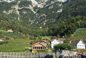 Zúrich: aventura guiada de senderismo por el Walensee con crucero en barco