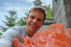 Zurich's best-kept secret: the hidden world of mushrooms!