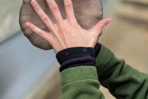 Zurich's best-kept secret: the hidden world of mushrooms!