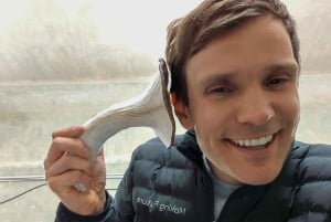 Zurich's best-kept secret: the hidden world of mushrooms!