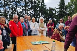 Zurich's best-kept secret: the hidden world of mushrooms!