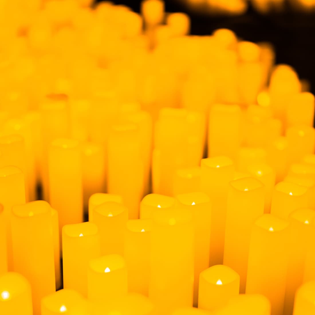 Candlelight: Det Beste av Ludovico Einaudi